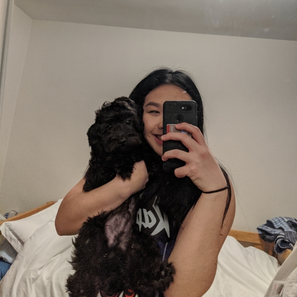 Meet your Posher, Nefertina - Picture 1 of 1